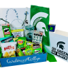 Michigan State University Spirit Box