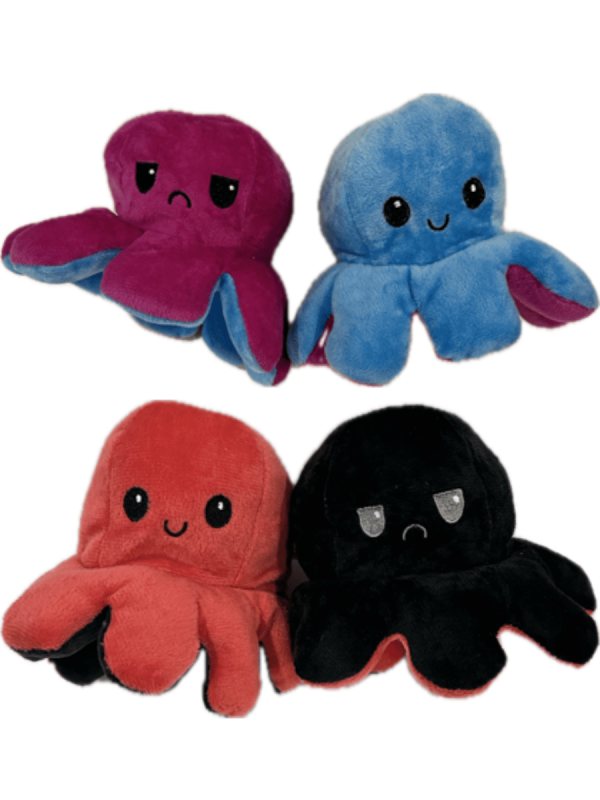 Reversible Plush